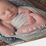 "Marshall" - Birth Announcements in Ivory by Pixel and Hank - Detail