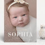 "gilded introduction" - Birth Announcements in Milk by Susan Asbill - Front