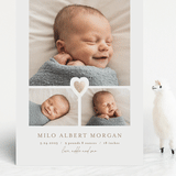 "our little sweetheart" - Birth Announcements in Fawn by Jen Tips - Front