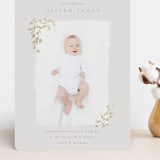 "Tiny Sprigs" - Birth Announcements in Latte by Kristie Kern - Front