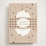 "Teddy Bear Stripes" - Baby Shower Insert Cards in Beary by Cindy Reynolds - With Bellyband