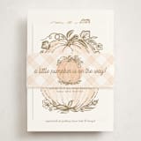 "Little pumpkin" - Baby Shower Insert Cards in Peach by Paper Sun Studio - With Bellyband