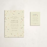"tiny bold sprinkles" - Baby Shower Mini Insert Cards in Cream by Ellen Schlegelmilch - With Invitation