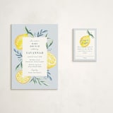 "Lemons" - Baby Shower Mini Insert Cards in Pale Blue by Megan Cash - With Invitation