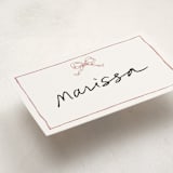 "ribbon bow drawing" - Fill-in Place Cards in Dusty Pink by Cass Loh - Detail