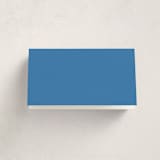 "Party Squiggle" - Fill-in Place Cards in Papaya by Blustery August - Folded Back of Card