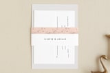 "New York" - Belly Bands in Blush by Nazia Hyder - Front