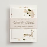 "Felicity" - Belly Bands in Pearl by Leah Bisch - Front