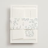 "Love Beyond Measure" - Belly Bands in Mineral by Oscar and Emma - Karly Depew - Front