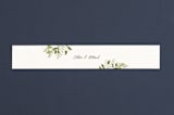 "Ribbonly" - Belly Bands in Blush by Jennifer Wick - Assembled with Invitation