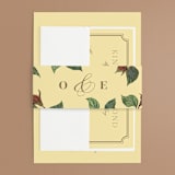 "Enchanted Rose from Disney's Beauty & The Beast" - Belly Bands in Mimosa by Leah Bisch - Front