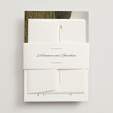 "Together Always" - Belly Bands in Chiffon by Eric Clegg - Front