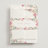 "Nilgiri" - Belly Bands in Carnation by Creo Study - Front