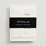 "Classically Elegant" - Belly Bands in Snow by Brandy Folse - Front