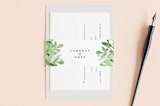 "Leafy ampersand" - Belly Bands in Mint Leaf by Jennifer Wick - Front