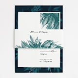 "Moonlit Garden" - Belly Bands in Twilight by GeekInk Design - Front