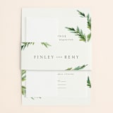 "Simple Pine Branches" - Belly Bands in Vanilla by Mere Paper - Front