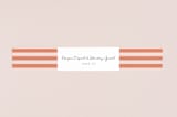 "Spring Blooms" - Belly Bands in Blush by Susan Moyal - Assembled with Invitation