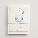 "Lavender" - Belly Bands in Tuscany by Claudia Orengo - Front