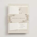 "Preserved Fall Botanicals" - Belly Bands in Linen by Erin Deegan - Front
