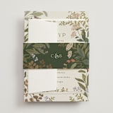 "Ellsworth" - Belly Bands in Natural by Jennifer Wick - Front