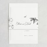 "legacy" - Belly Bands in Pure by Design Lotus - Front