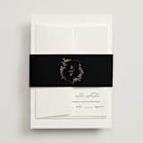 "Storybook" - Belly Bands in Ink by Jennifer Postorino - Front