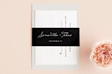 "Estate" - Belly Bands in Blush by Kim Dietrich Elam - Front