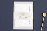 "Sophisticated script" - Belly Bands in Blush by Hooray Creative - Front