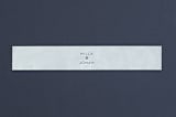 "Grande Botanique" - Belly Bands in Mist by Bonjour Paper - Assembled with Invitation