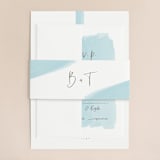 "So Delightful" - Belly Bands in Sky by Erika Firm - Front