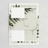 "Love springs eternal" - Belly Bands in Fern by Chris Griffith - Front