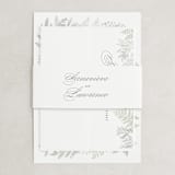 "Dear Greenery" - Belly Bands in Eucalyptus by Hooray Creative - Front