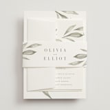 "Whispered Leaves" - Belly Bands in Leaf by Kristie Kern - Front