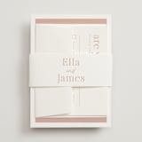 "Party Accordingly" - Belly Bands in Blush by Hudson meet Rose - Front