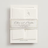 "Regent" - Belly Bands in Opal by Robert and Stella - Detail