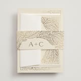 "Royalty" - Belly Bands in Cream by Jen Owens - Front