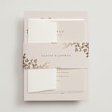 "Classique" - Belly Bands in Spun Sugar by Jessica Williams - Front