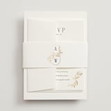 "Vining" - Belly Bands in Chantilly by Jessica Williams - Front