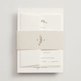 "To Hold" - Belly Bands in Ivory by Carolyn Nicks - Front