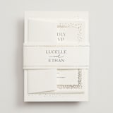 "Flicker" - Belly Bands in Sparkle by Pixel and Hank - Front