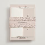 "Deco Band" - Belly Bands in Blush by Kindred Fields - Front