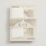 "Baroque" - Belly Bands in Cream by Jen Owens - Front