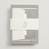 "cantuccini" - Belly Bands in Moon by chocomocacino - Detail