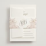 "Gilded Ampersand" - Belly Bands in Cotton by Jennifer Postorino - Front