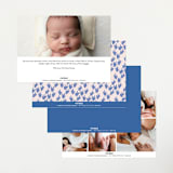 "Little Foliage" - Birth Announcements in Blush by Genna Blackburn - Back of Card Options
