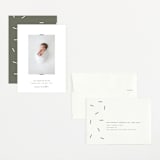 "Cole" - Birth Announcements in Forest by Blustery August - Assembled