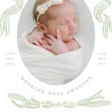 "Ribbon Bow Frame" - Birth Announcements in Mint by Stephanie Hawkes - Detail