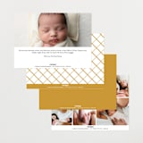 "Hello Everyone" - Birth Announcements in Mustard by Ashley Rosenbaum - Back of Card Options