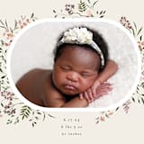 "Wildflower" - Birth Announcements in Eggshell by Itsy Belle Studio - Detail